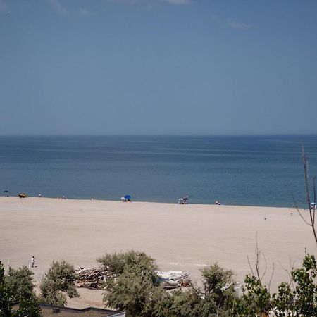 Pupa Residence Mamaia Værelse billede